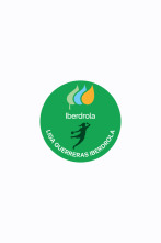 Imagen de División de Honor de balonmano (F) - 2