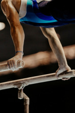 Imagen de Mundial de... (2025): F All - Around Final - 2