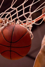 Imagen de Resumen División de Honor de baloncesto en silla de ruedas (25/26) - 2