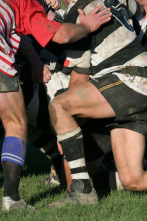 Imagen de Amistosos Rugby... (2025): España - Fiyi - 2