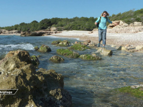 Imagen de 80 cm (T3): Sierra de Irta - 1
