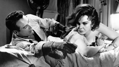 Imagen de Dulce pájaro de juventud - 3