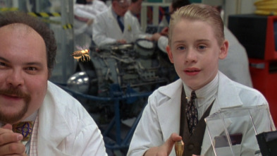 Imagen de Niño rico - 3