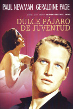 Imagen de Dulce pájaro de juventud - 2