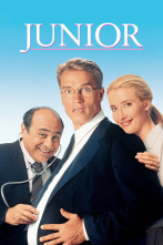 Imagen de Junior - 2