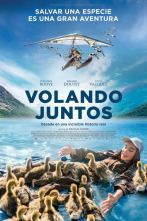 Imagen de Volando juntos - 2