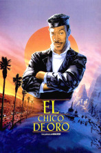 Imagen de El chico de oro - 2