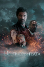 Imagen de Delfines de plata - 2