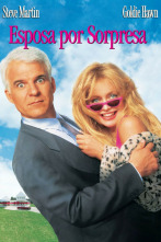 Imagen de Esposa por sorpresa - 2