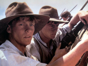 Imagen de Gallipoli - 1