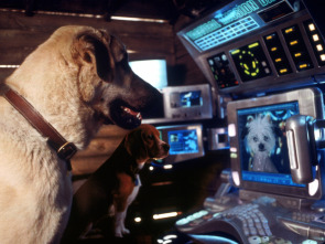 Imagen de Como perros y gatos - 1