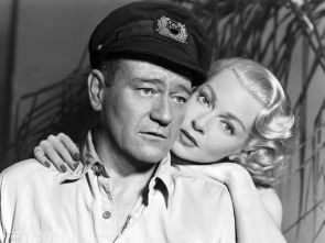 Imagen de El zorro de los océanos - 1