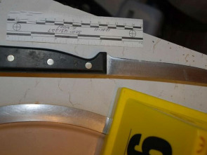 Imagen de Crímenes en Florida: Asesinatos antes del huracán - 1