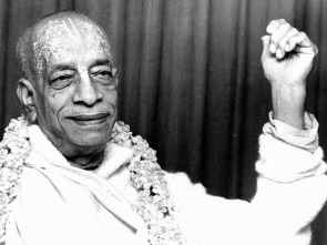Imagen de Hare Krishna: gurús...: El palacio de oro - 1