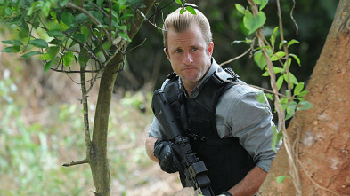 Imagen de Hawai 5.0 (T4): Ep.2 A'ale Ma'a Wau (Como pez fuera del agua) - 3