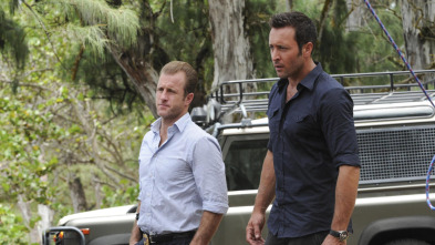 Imagen de Hawai 5.0 (T6): Ep.20 Ka Haunaele (Tumulto) - 3