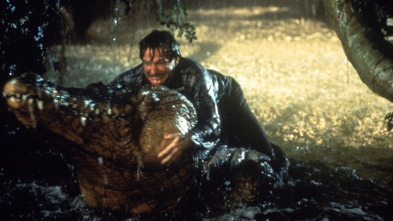Imagen de Jumanji - 11