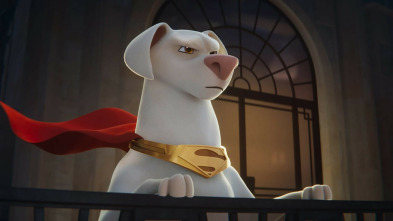 Imagen de DC Liga de supermascotas - 3
