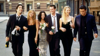 Friends - El de la boda de Mónica y Chandler (II)