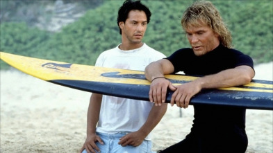 Imagen de Le llaman Bodhi - 5