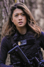 Imagen de Hawai 5.0 (T3): Ep.12 Kapu (Prohibido) - 2