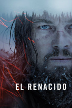 Imagen de El renacido - 7