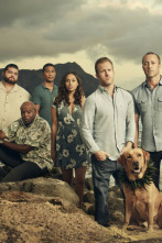 Imagen de Hawai 5.0 (T9): Ep.24 Hewa ka lima (La mano tiene la culpa) - 2