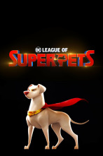 Imagen de DC Liga de supermascotas - 2
