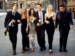 Friends - El del libro de Rachel
