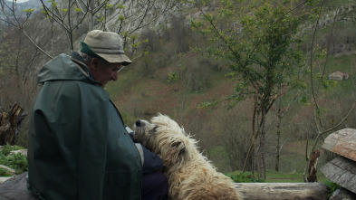 Imagen de Los últimos pastores - 3