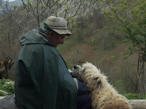 Imagen de Los últimos pastores - 1