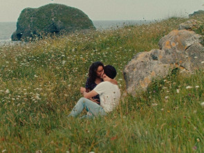 Imagen de Notas sobre un verano - 1