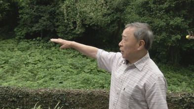 Nits sense ficció: Buscant el nen de Nagasaki
