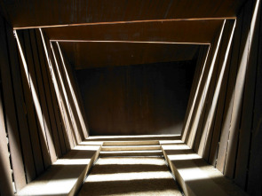 Imagen de Animals arquitectes (T1) - 1