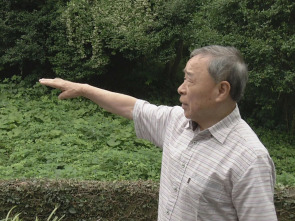 Nits sense ficció: Buscant el nen de Nagasaki