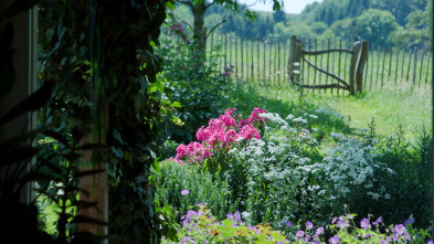 Imagen de Histoire(s) de jardins - 3