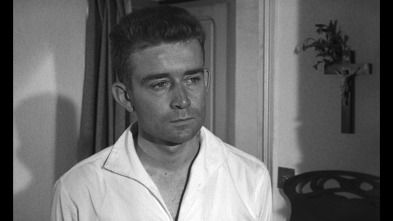 Les Oliviers de la justice