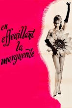 Imagen de Deshojando la margarita - 2