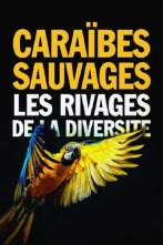 Imagen de Caraibes Sauvages, les Rivages de la Biodiversite - 2