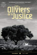 Les Oliviers de la justice