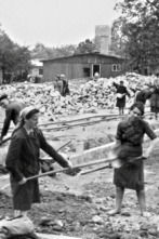 Imagen de Auschwitz, des survivants racontent - 2