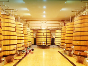 Imagen de La vigne en héritage - 1