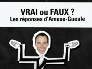 Imagen de Vrai ou faux ? - 1