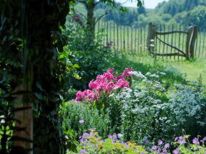 Imagen de Histoire(s) de jardins - 1