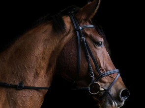 Imagen de Equitation: Jumping International de La Baule - 1