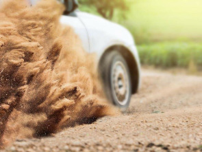 Imagen de Sudafrican Rally Championship - 1