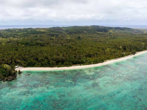 Imagen de Ura, Sauver l'oiseau Sacre des Australes - 1