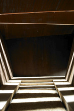 Imagen de Animals arquitectes (T1): Mesura - 2