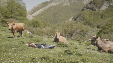 Imagen de Vuelvo a empezar (T3): Ventas de Huelma (Granada), Valbuena de Duero (Valladolid) y Madrigal de la Vera (Cáceres) - 3