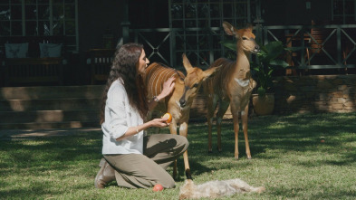 Imagen de Dra. Fabiola Jones (T1): Un pulso entre especies - 3